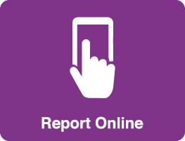 Report Online